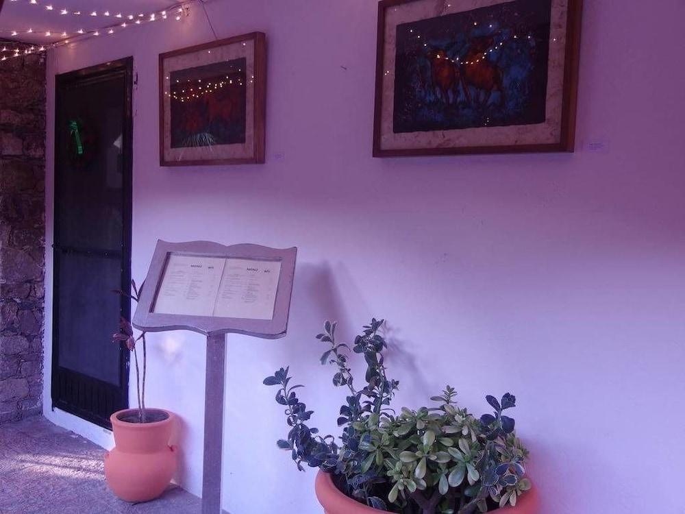 Casa De Las Conservas Comfort San Miguel de Allende Zewnętrze zdjęcie